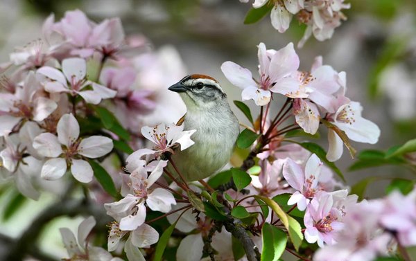 Elevate Your Spring Wardrobe: Creative Ways to Style Neutrals for a Captivating Look in the UK